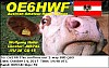 OE6HWF_cfimg-7977143699854141639.jpg