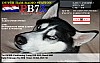 PB7Z_cfimg-4362832719619590525.jpg