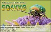 SQ4KKG_cfimg-2574808833521930672.jpg